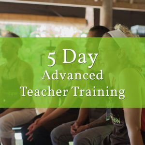 5 day advanced teacher training